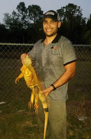 Palm beach county iguana removal